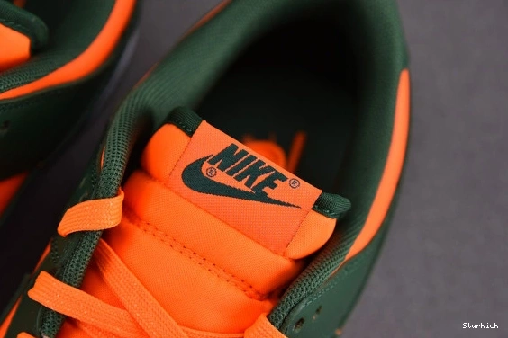Nike Low DD1391-300 Dunk Hurricanes Miami 1027
